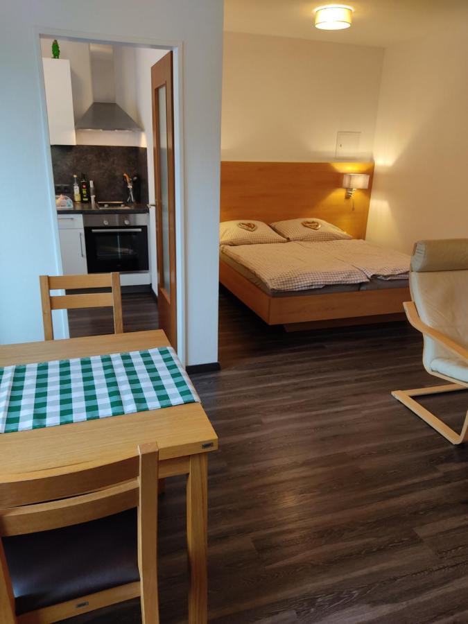 Apartment Reichenhall Bad Reichenhall Zewnętrze zdjęcie